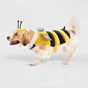 Puppy Bee costume